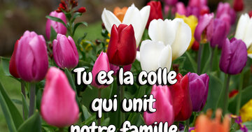 Aperçu de la carte : Tu es la colle
qui unit 
notre famille.