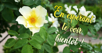 Aperçu de la carte : En espérant te voir bientôt !