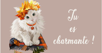 Aperçu de la carte : Tu 
es 
charmante !