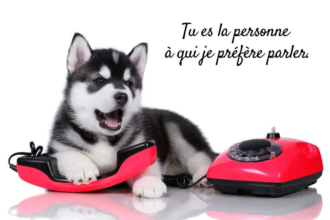 Un adorable chiot husky est allongé près d'un téléphone rouge vintage, la patte sur le combiné et la gueule ouverte comme s'il parlait.