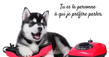 Aperçu de la carte : Tu es la personne 
à qui je préfère parler.