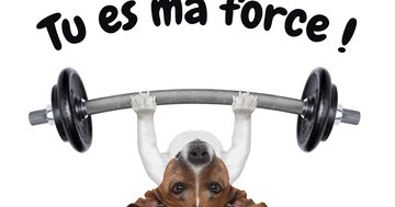 Aperçu de la carte : Tu es ma force.