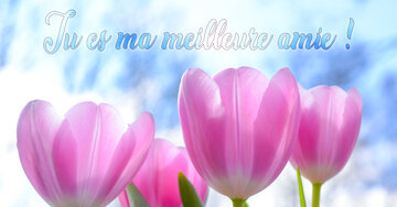 Aperçu de la carte : Tu es ma meilleure amie !