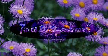 Aperçu de la carte : Tu es tout pour moi.