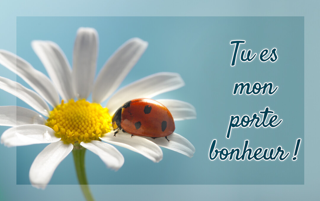Gros plan d'une coccinelle rouge sur une marguerite blanche et jaune, sur un fond bleu ciel avec un texte manuscrit à droite.