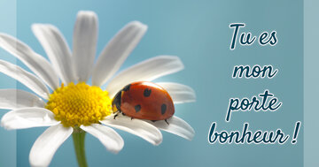 Aperçu de la carte : Tu es
mon
porte
bonheur !