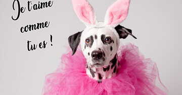 Aperçu de la carte : Je t'aime
comme 
tu es !