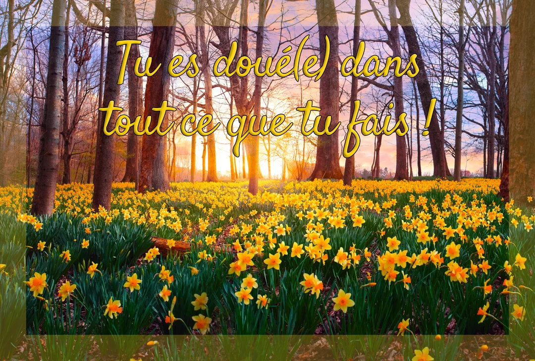 Un parterre de jonquilles jaunes s'étend dans une forêt baignée par la lumière dorée d'un soleil levant, avec un message de compliment superposé.