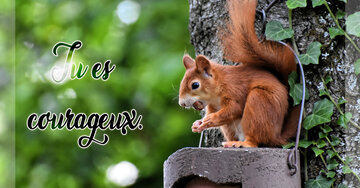 Aperçu de la carte : Tu es courageux