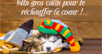 Aperçu de la carte : Un gros câlin pour te 
réchauffer le coeur !