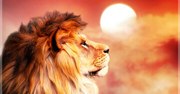 Aperçu de la carte : Tu illumines ma vie !