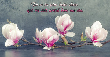 Aperçu de la carte : « Tu es la plus belle chose qui me soit arrivé... »