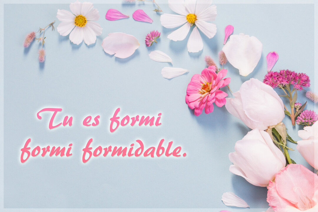 Une composition de fleurs et de pétales roses et blancs est disposée sur un fond bleu pastel, avec une inscription rose au centre.