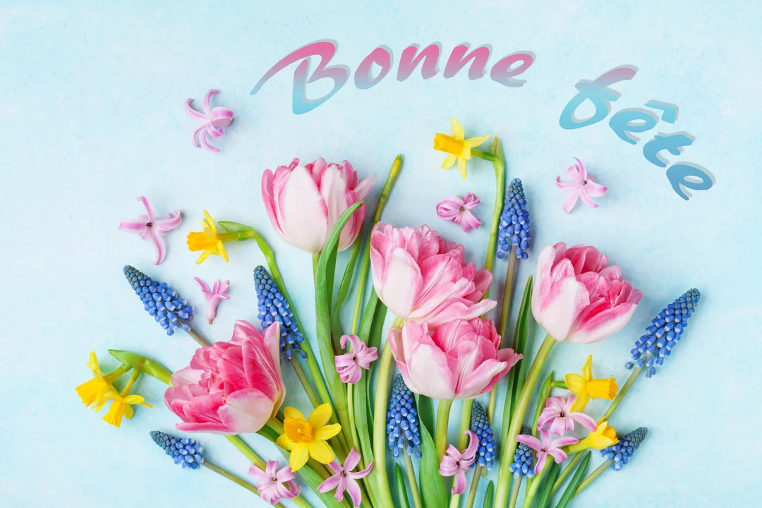 Un bouquet de fleurs de printemps, composé de tulipes roses, de jonquilles et de muscaris, est disposé sur un fond bleu texturé.