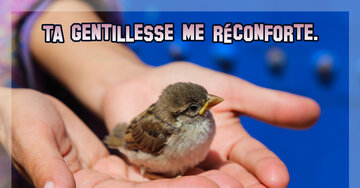 Aperçu de la carte : Ta gentillesse me réconforte.