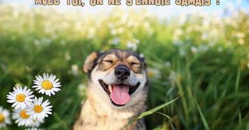 Aperçu de la carte : Avec toi, on ne s'ennuie jamais !