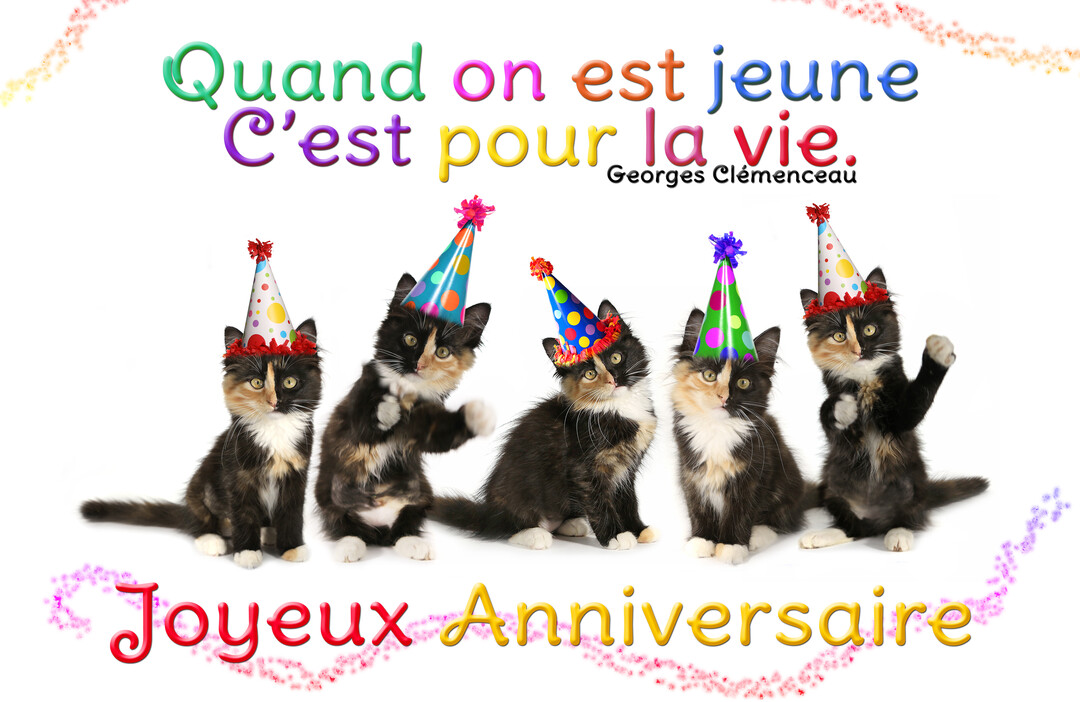 Cinq adorables chatons tricolores coiffés de chapeaux de fête pointus sont alignés, avec le texte "Joyeux Anniversaire" sur un fond blanc.