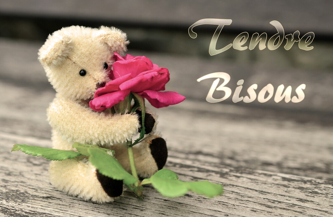 Un petit ours en peluche de couleur crème est assis sur une surface en bois, tenant une rose fuchsia près de son visage.