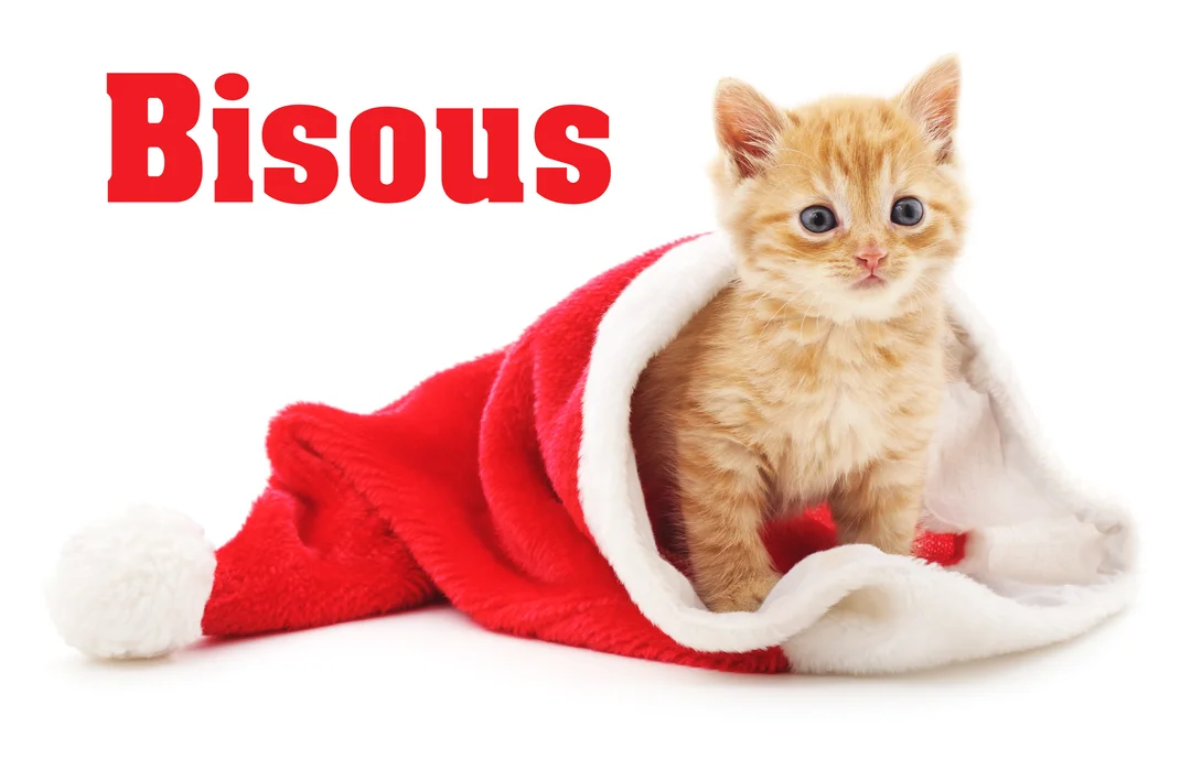 Un petit chaton roux au pelage tigré et aux yeux bleus est assis dans un bonnet de Noël rouge sur un fond blanc.