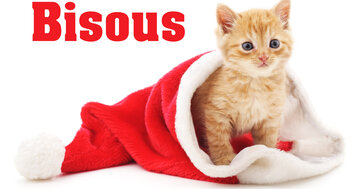 Aperçu de la carte : Bisous