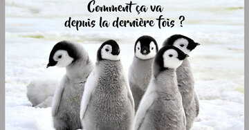 Aperçu de la carte : Comment ça va
depuis la dernière fois ?