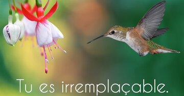 Aperçu de la carte : Tu es irremplaçable.