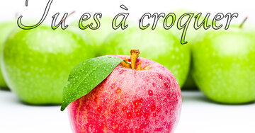 Aperçu de la carte : Tu es à croquer