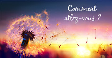 Aperçu de la carte : Comment allez-vous ?