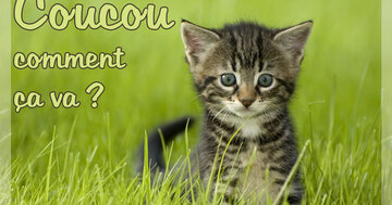 Aperçu de la carte : Coucou comment ça va ?