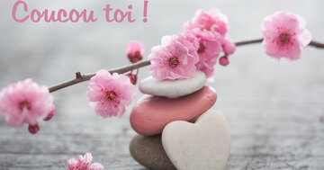 Aperçu de la carte : Coucou toi !