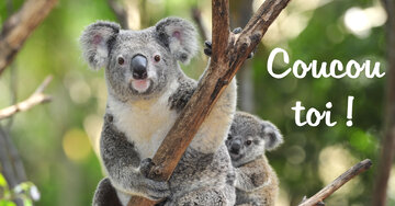 Aperçu de la carte : Coucou toi !