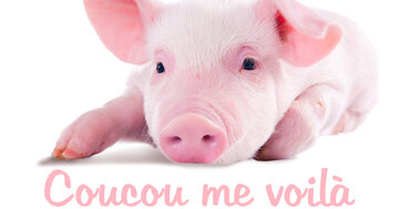 Aperçu de la carte : Coucou me voilà