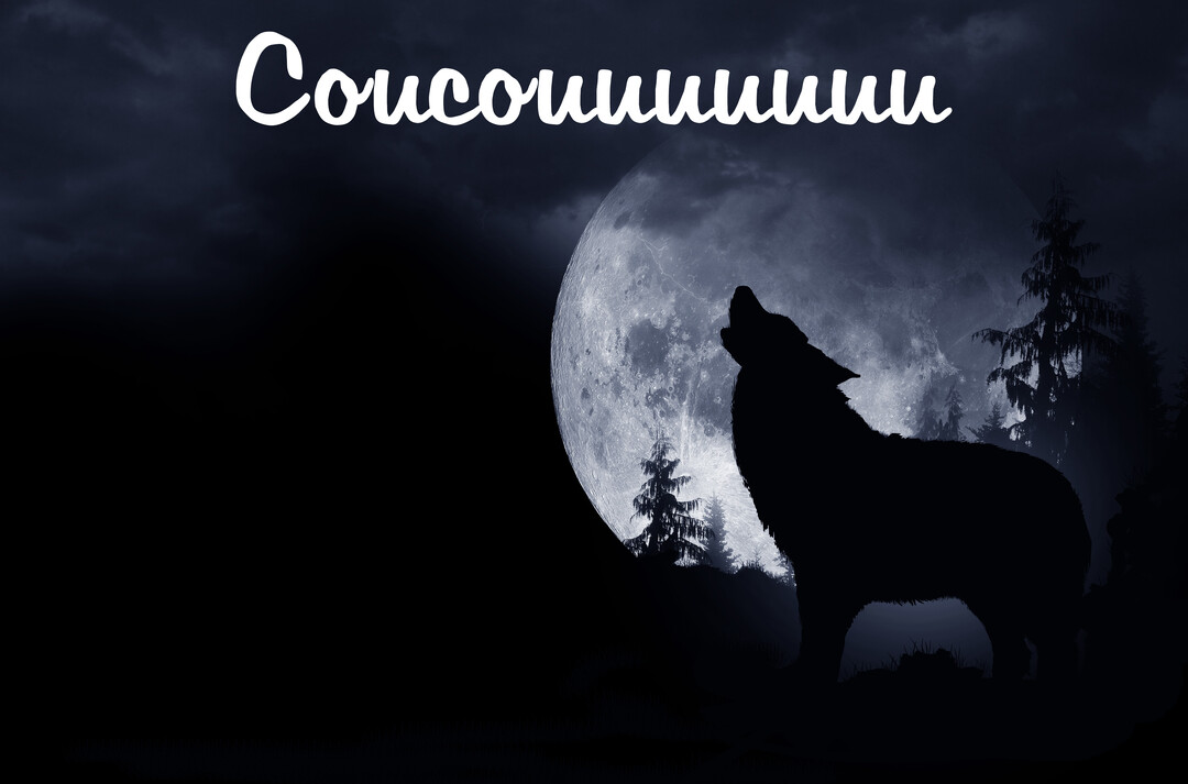 Dans une nuit sombre, la silhouette d'un loup hurle vers une immense pleine lune, avec le mot 'Coucouuu' inscrit dans le ciel.