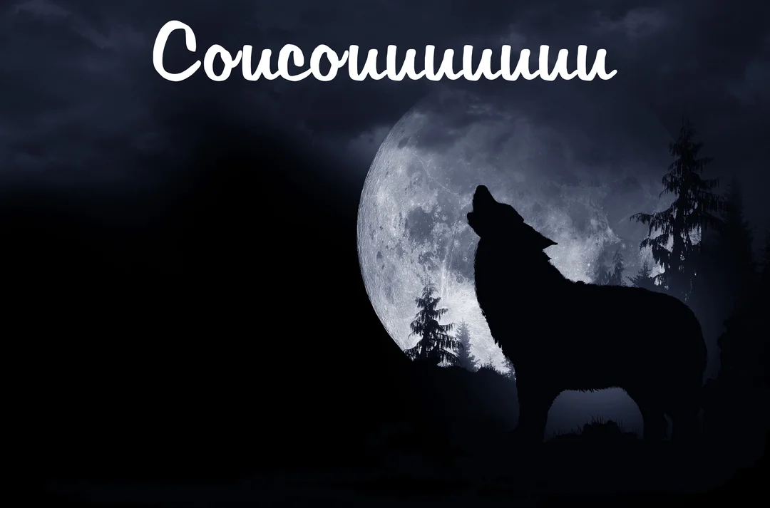 Dans une nuit sombre, la silhouette d'un loup hurle vers une immense pleine lune, avec le mot 'Coucouuu' inscrit dans le ciel.