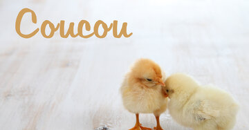 Aperçu de la carte : Coucou