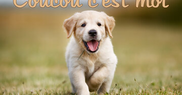 Aperçu de la carte : Coucou c'est moi !