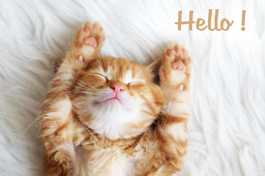 Un jeune chat roux est allongé confortablement sur le dos sur une fourrure blanche, les pattes avant levées et les yeux fermés.