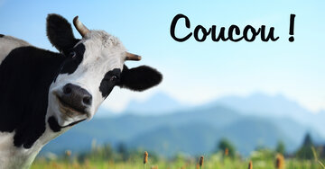 Aperçu de la carte : Coucou !