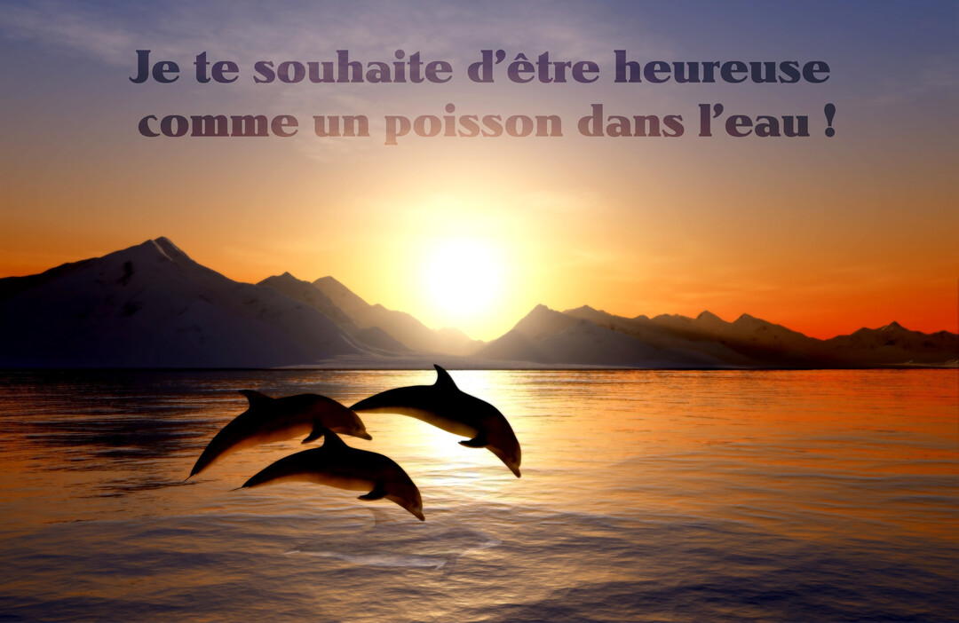 Trois dauphins bondissent hors de l'eau au crépuscule, devant un paysage de montagnes enneigées et un ciel orangé et lumineux.
