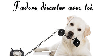 Aperçu de la carte : J'adore discuter avec toi.