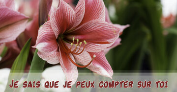 Aperçu de la carte : Je sais que je peux compter sur toi