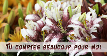 Aperçu de la carte : Tu comptes beaucoup pour moi