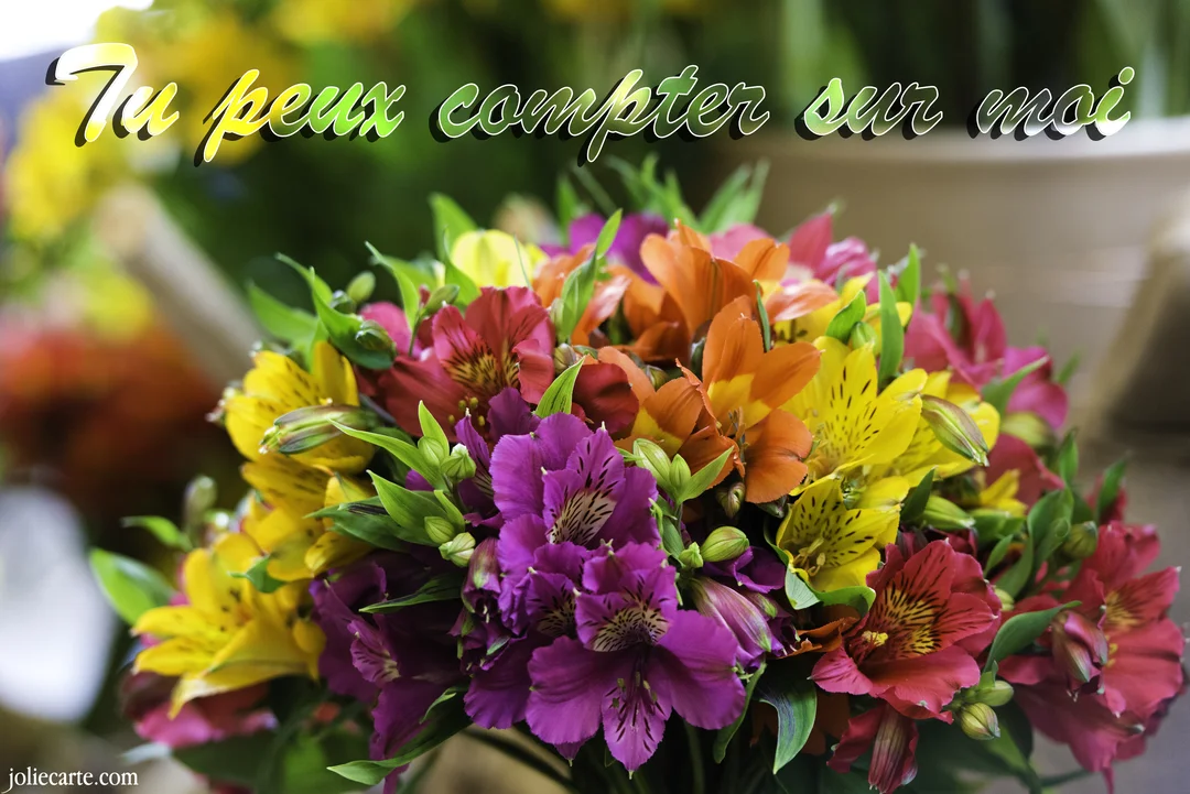 Gros plan sur un bouquet éclatant d'alstroemères jaunes, roses et oranges, avec le texte 'Tu peux compter sur moi' superposé sur un fond flou.