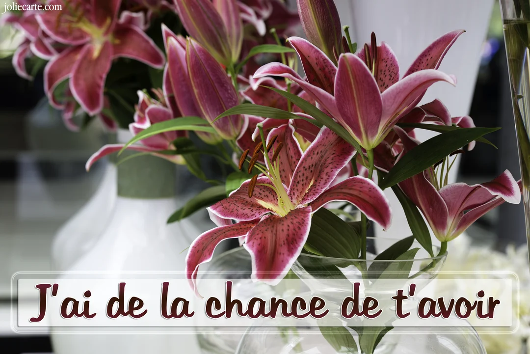 Un gros plan sur un bouquet de lys roses et blancs, aux pétales mouchetés, avec le message 'J'ai de la chance de t'avoir' superposé.