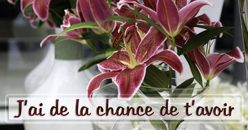 Aperçu de la carte : J'ai de la chance de t'avoir