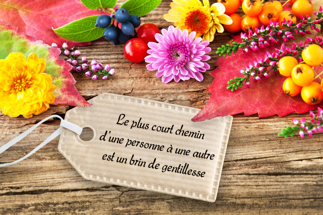 Sur un fond de bois, une composition de fleurs et feuilles d'automne entoure une étiquette portant une citation sur la gentillesse.