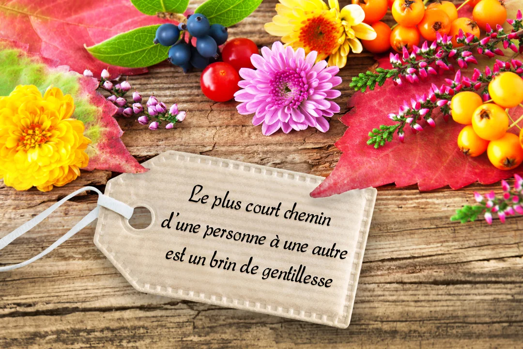 Sur un fond de bois, une composition de fleurs et feuilles d'automne entoure une étiquette portant une citation sur la gentillesse.
