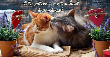 Aperçu de la carte : Ta gentillesse, ton écoute
et ta patience me touchent
énormément