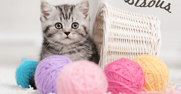 Aperçu de la carte : Bisous