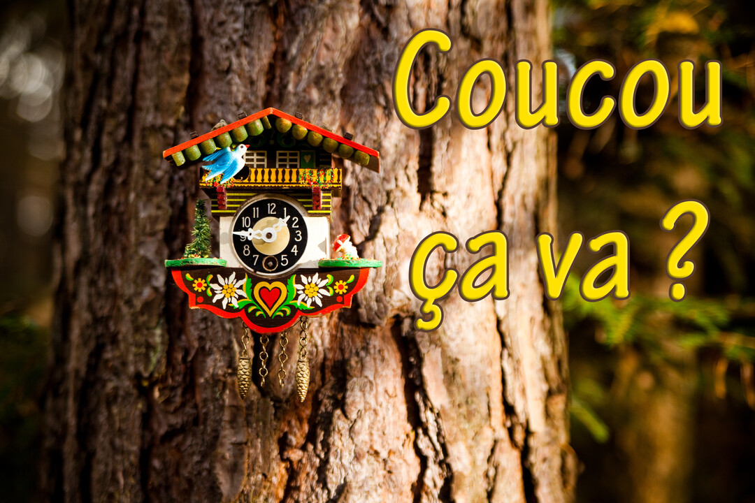 Une horloge coucou folklorique est fixée sur le tronc d'un grand arbre en forêt, accompagnée du message amical 'Coucou ça va ?'.